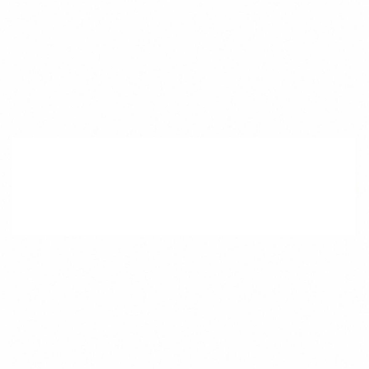 Voyger Electronics